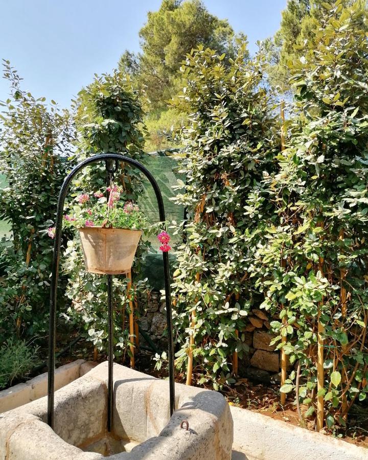 Nicuzza Bed & Breakfast Мартано Екстериор снимка